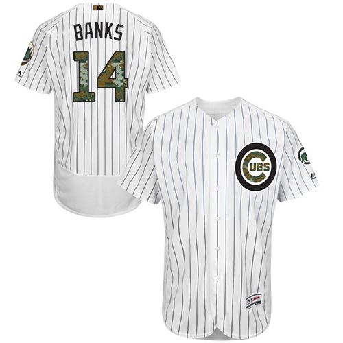 Cubs #14 Ernie Banks White(Blue Strip) Flexbase Authentic Collection Memorial Day Stitched MLB Jersey